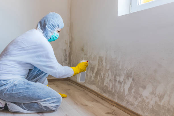 Hvac And Air Duct Mold Remediation inspection of HVAC system in Hauppauge