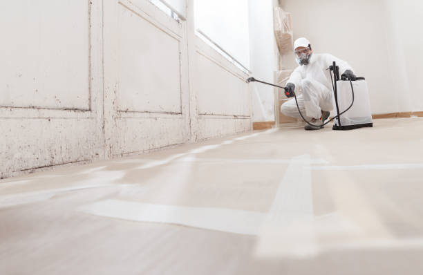 Post-remediation clearance in Hauppauge
